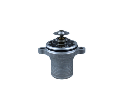 TERMOSTAT 4133L507