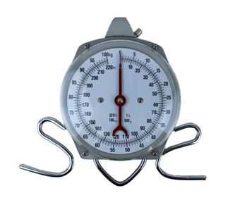 VV9520 WAGA ZEGAROWA ZAWIESZANA 100KG