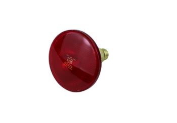 żarówka promiennik