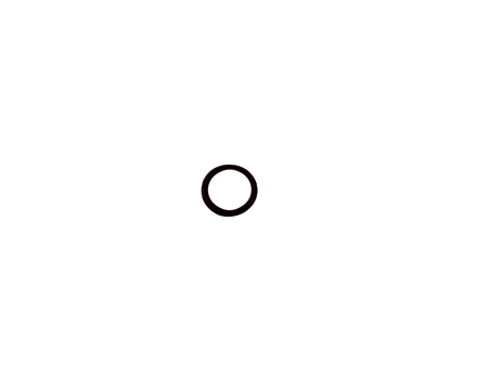 O-RING