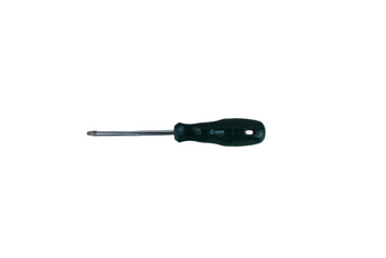 SATA WKRĘTAK TORX T25X100mm