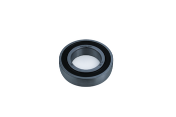 1726209-2RS1 SKF
