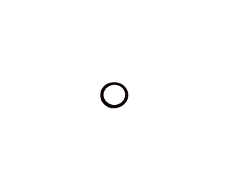 O-RING
