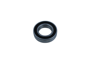 6006-2RSR ZVL