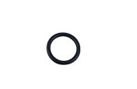 ORING                                   