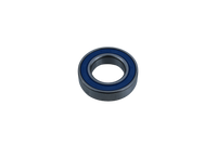 6006.2RS.C3 PFI