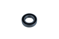 6006-2RSR ZVL