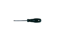 SATA WKRĘTAK TORX T25X100mm 