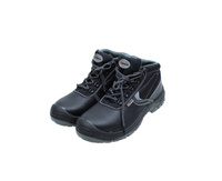 TRZEWIKI OCHRONNE ECONOMY 39